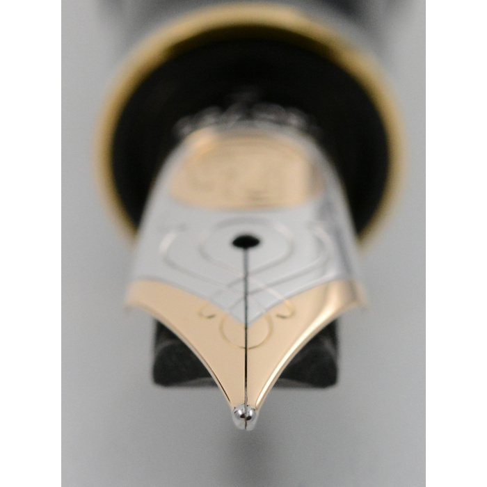 PelikanM800SchwarzF5 Pelikan M800 Schwarz F